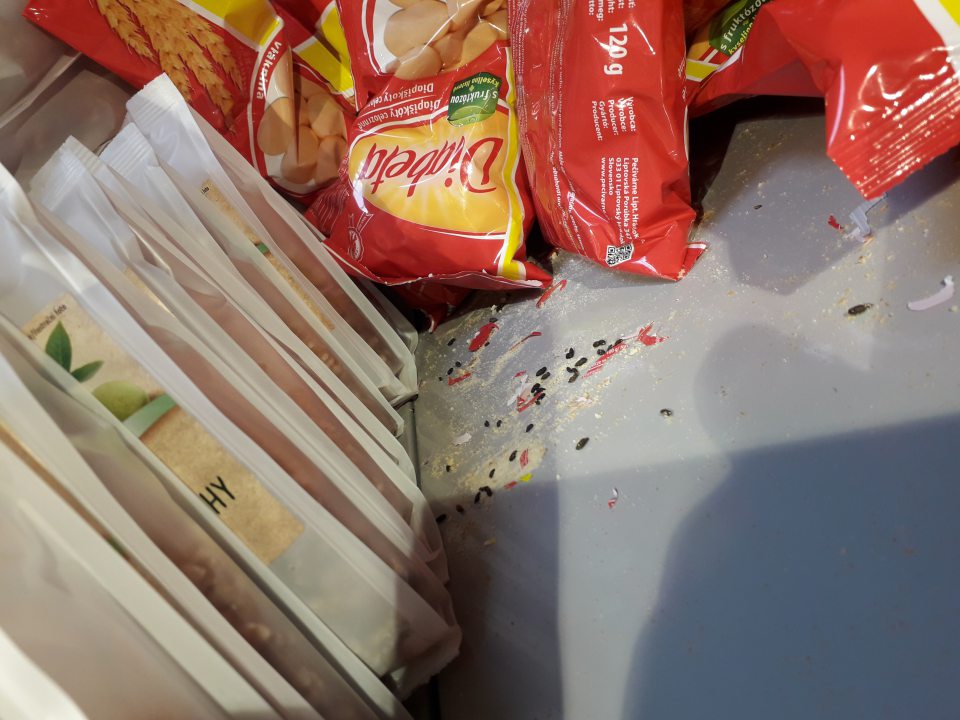 zistené stopy po hlodavcoch - trus a moč na regáloch s potravinami a na obaloch potravín