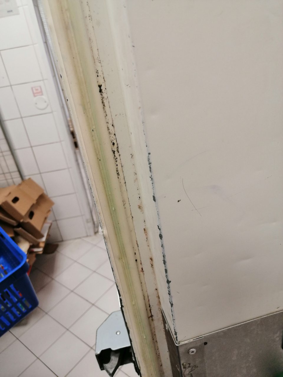 Znečistené gumové tesnenie dverí s výskytom plesne.