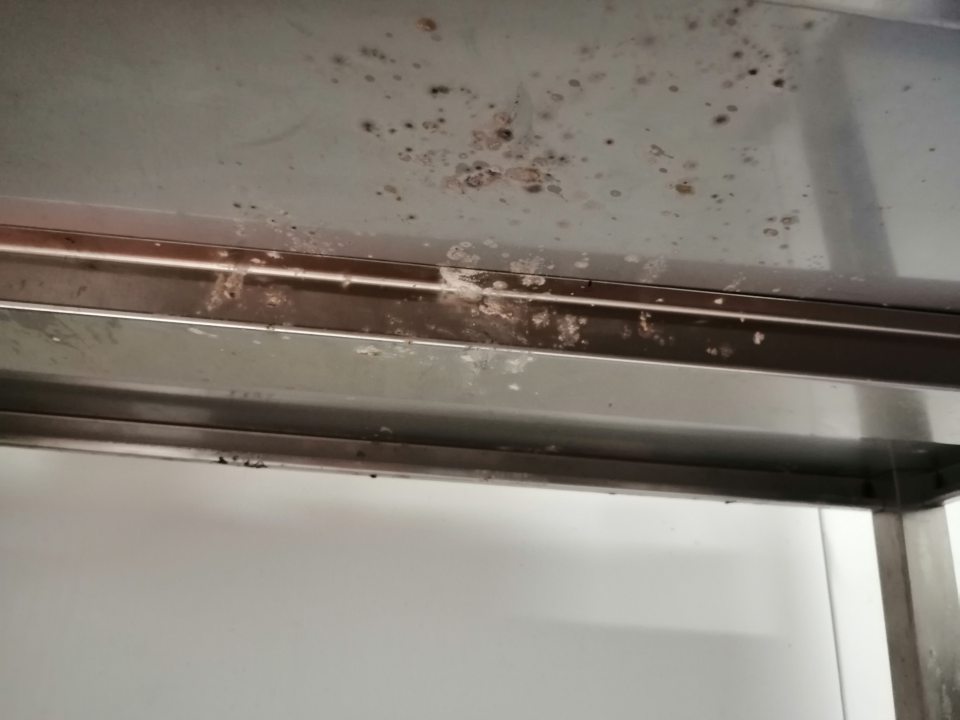 Kovové regály s výskytom plesne.