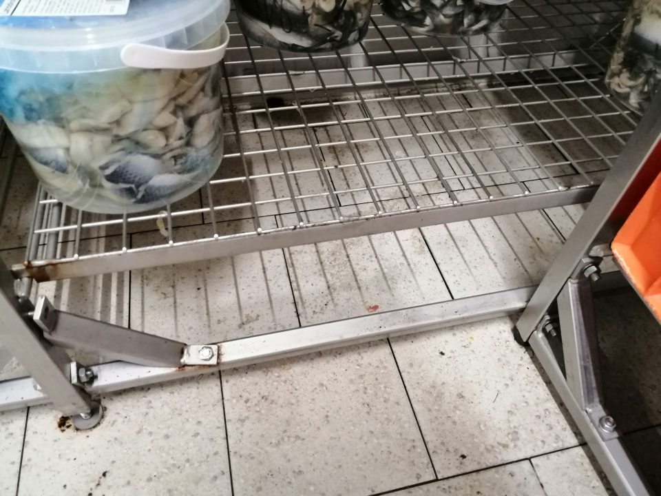 Znečistená podlaha pod regálmi v chladenom sklade.