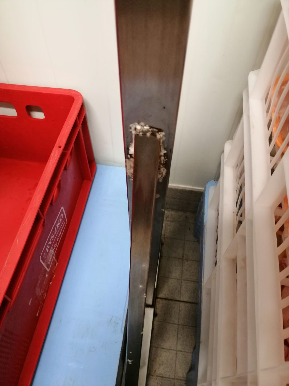 Výskyt plesne na stojane pre mäso v chladiacom boxe mäsa.