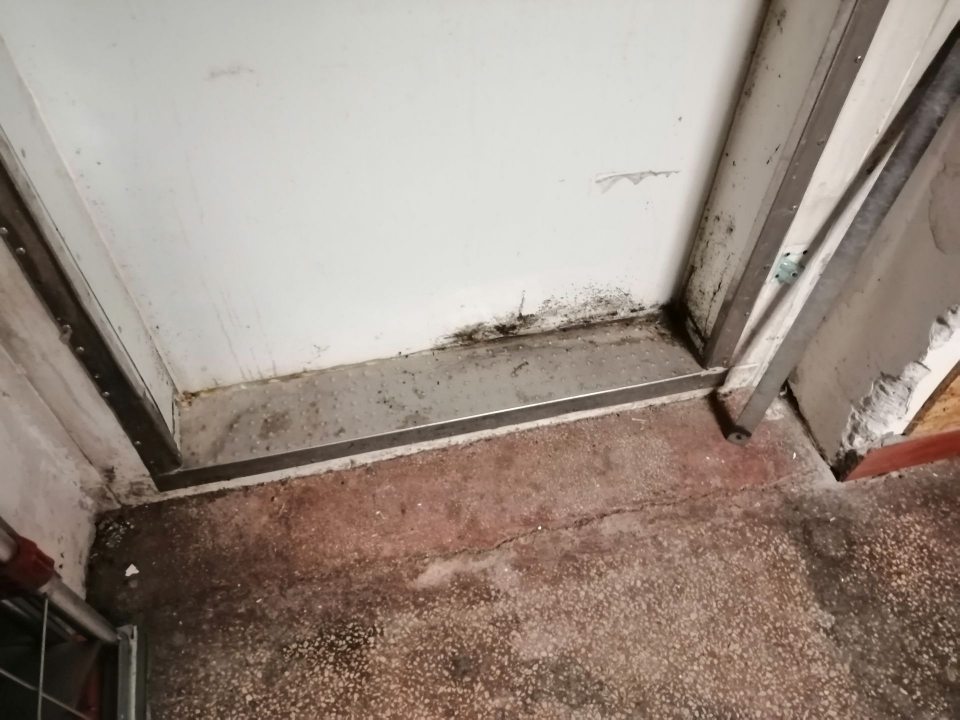 Výskyt plesne na stene.