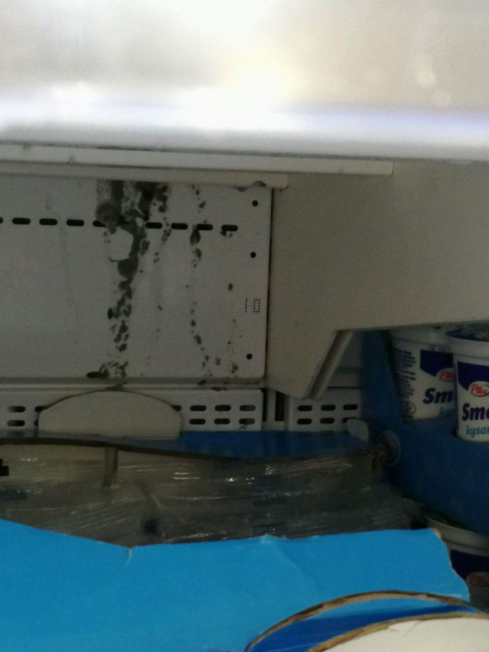 Výskyt plesne v chladiacej vitríne.