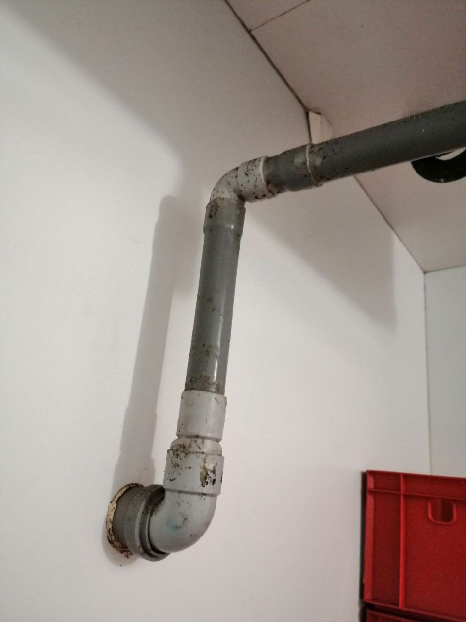 Výskyt plesne na odvodnom potrubí chladiacej jednotky v chladiacom boxe ovocia a zeleniny.