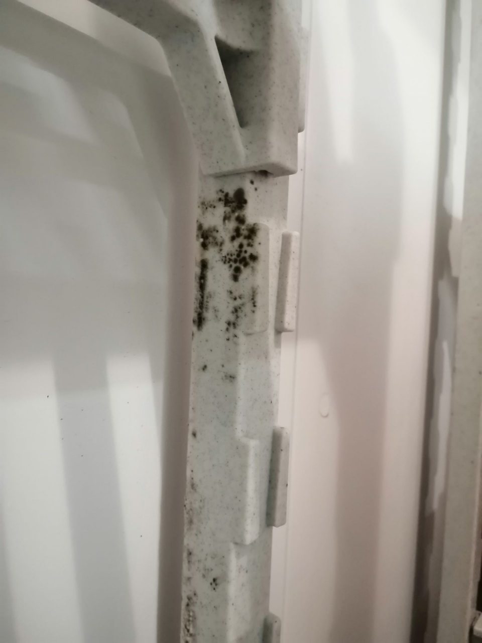 Výskyt plesne na konštrukcii regálov v chladiacom boxe lahôdok.