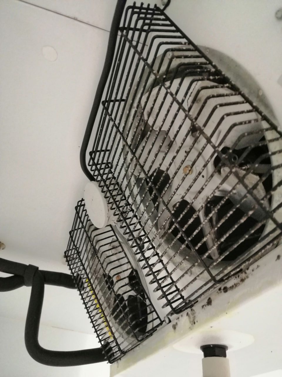 Výskyt plesne na mriežkach a povrchu chladiaceho agregátu v chladiacom boxe lahôdok.