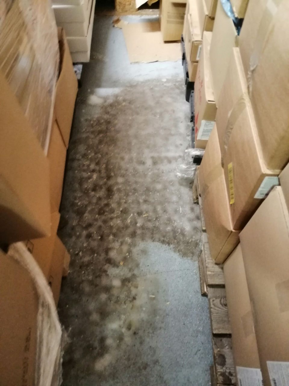 Vrstva ľadu na podlahe v mraziacom boxe.