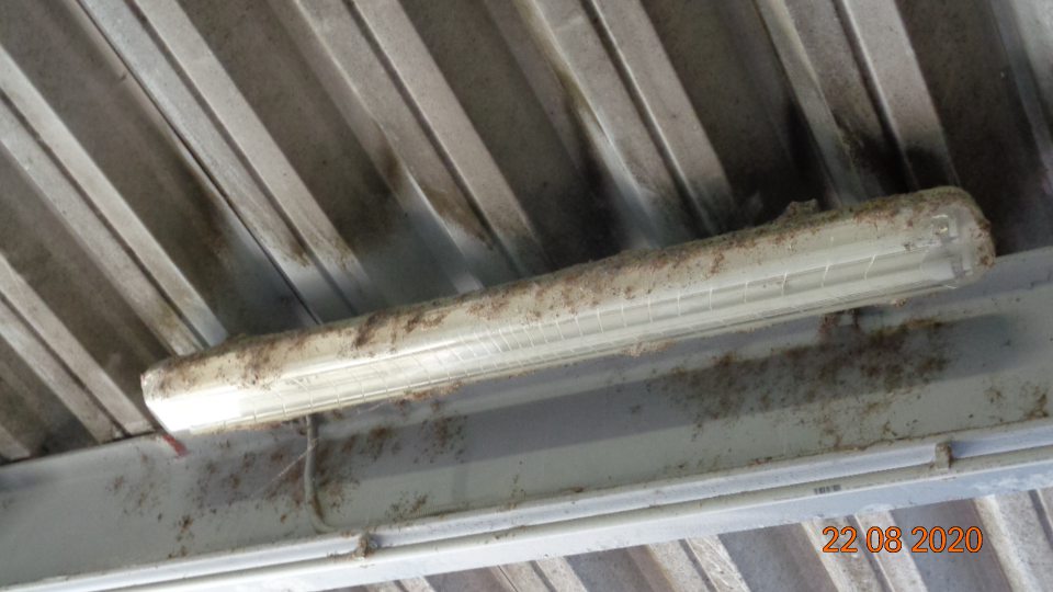 na príjmovej rampe silne znečistené svietidlá od vtáčieho trusu a prachu