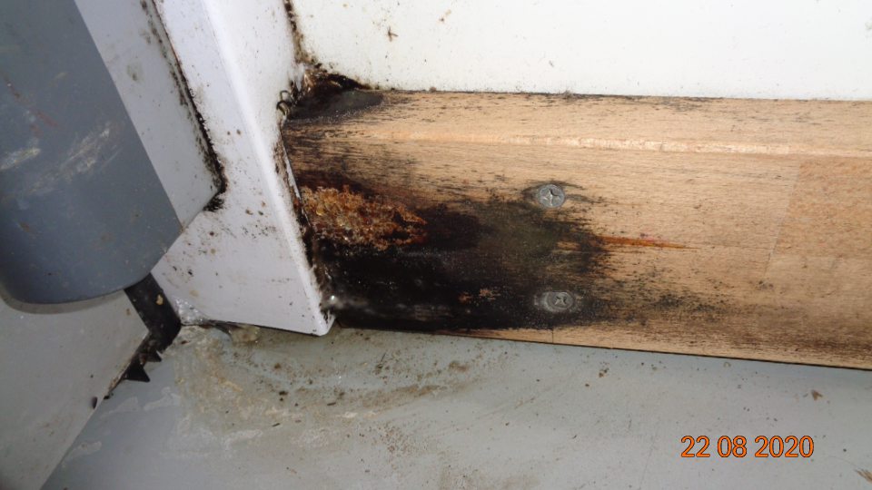  sklade pred vstupom do mraziaceho boxu ( mrazené krémy, pizze) drevené lišty pokryté čiernou plesňou