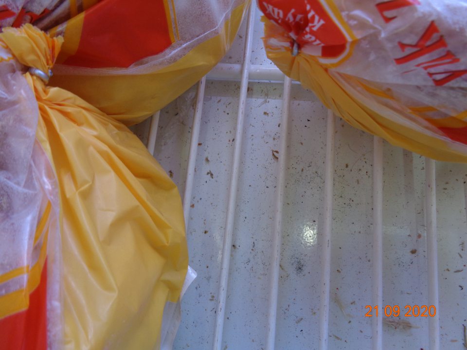  Mraziace boxy na predajnej ploche na zmrzlinu hydinu polotovarmi znečistené kúskami prachu a špiny