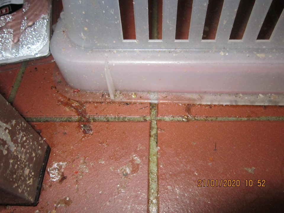 Oddelenie obslužného pultu - nečistoty v chladiarenskom zariadení v okolí uskladnenia mäsových výrobkov určených na odpis (zaschnuté mäsové šťavy a špina)