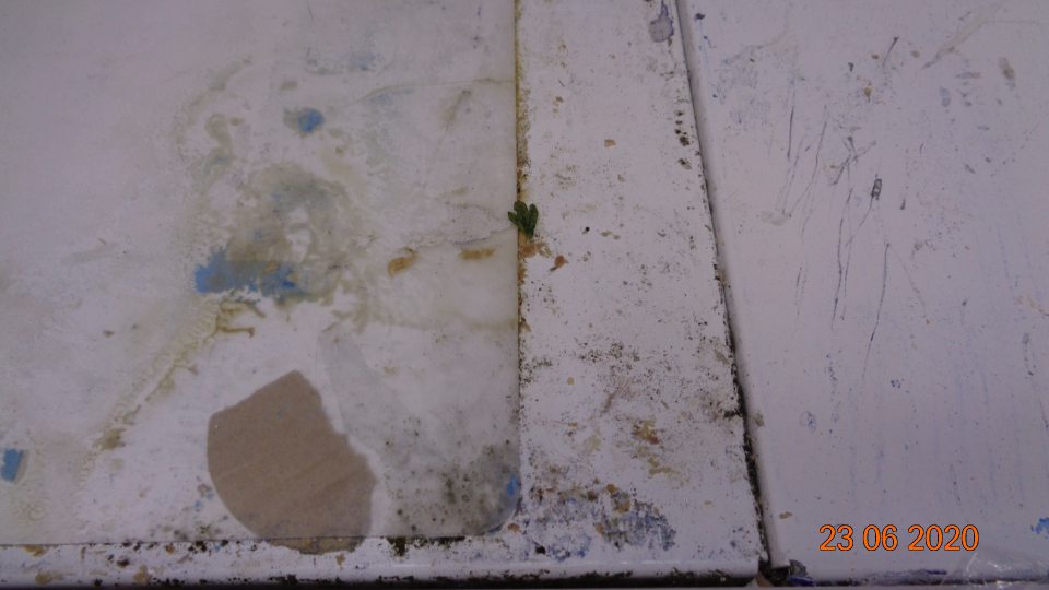 V chladiacej vitríne na mlieko, mlieč. výrobky...dno znečistené potečenými tekutinami, prilepenými kartónmi, čiernou špinou pripomínajúcou pleseň. 