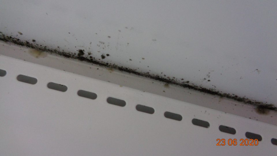 Na zadnej stene lišty pokryté hrubou vrstvou čiernej špiny, pravdepodobne plesňou. 