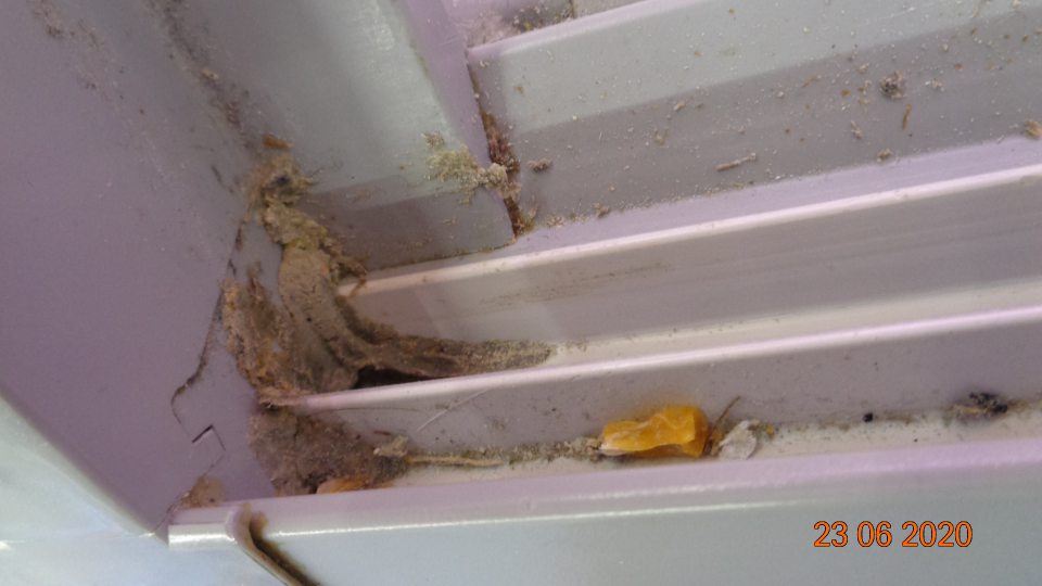 Vo vitríne na mrazené krémy, nanuky a pizzu posuvné lišty znečistené hrubou vrstvou utlačenej špiny, posuvné dvere pokryté omrvinkami a prachom.