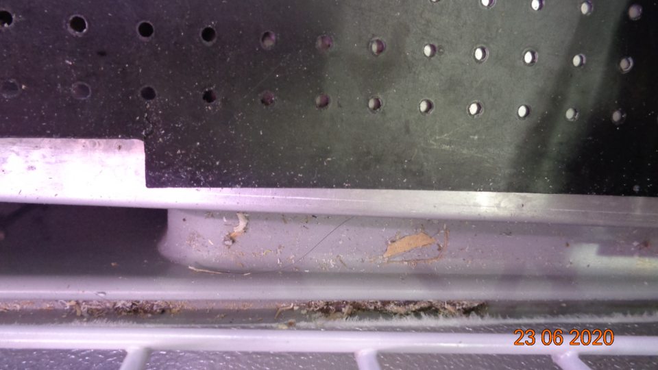 Vo vitríne na chladené ryby a sushi lišty na bočnej stene pokryté rozmrvenými potravinami, prachom a hrubou špinou.