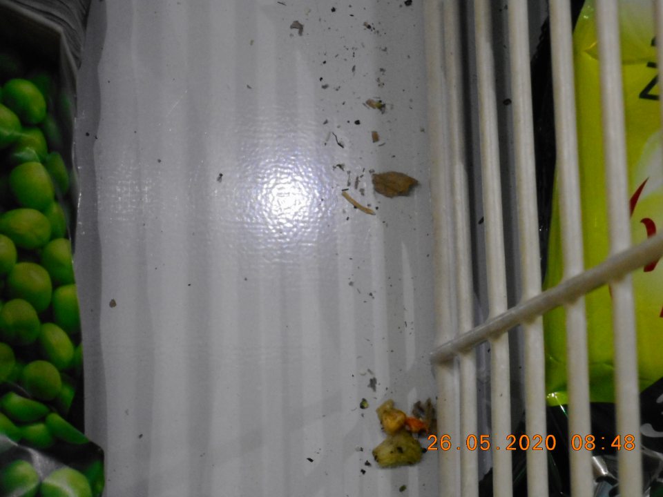 Znečistené mraziace boxy a vitríny.