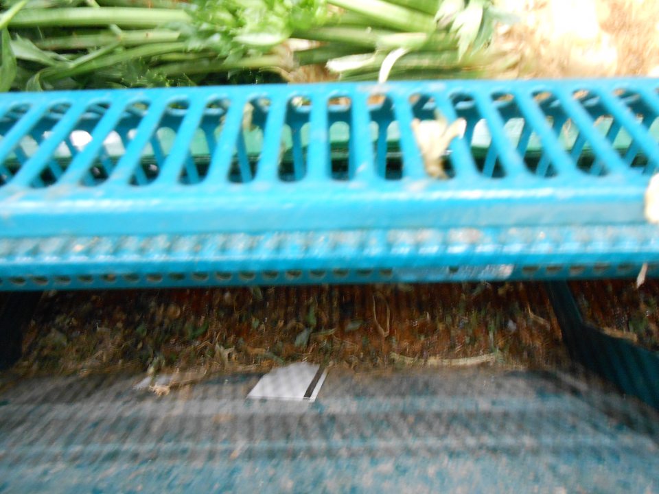 Priestor pod mriežkou v chladiacom zariadení slúžiacom na vystavovanie a predaj čerstvého ovocia a zeleniny silne znečistený mechanickými nečistotami a zvyškami predávaného ovocia a zeleniny.