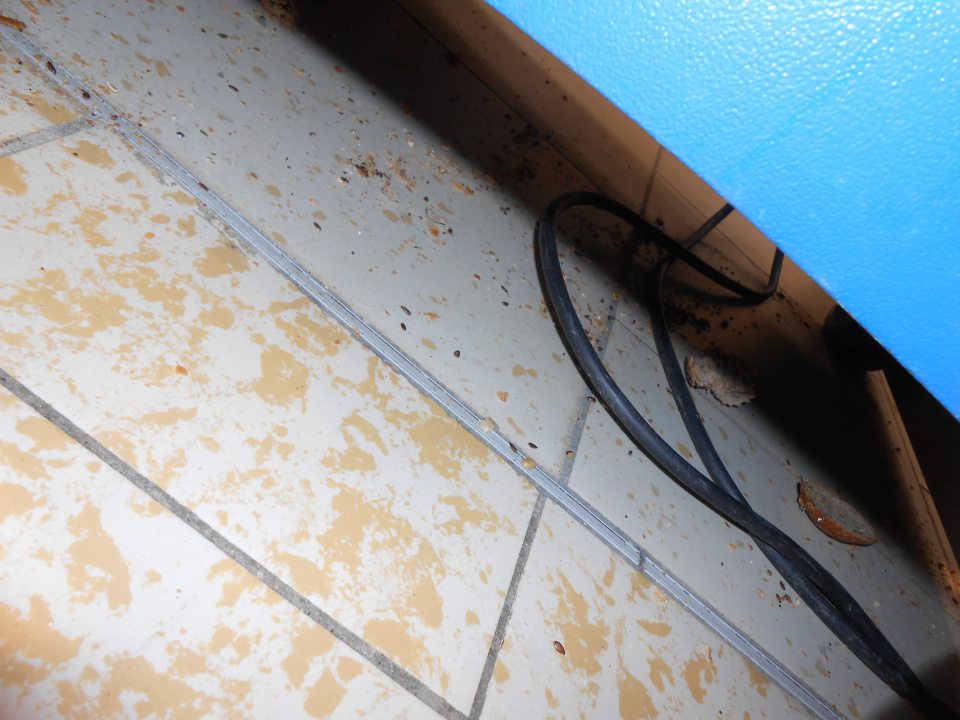 Podlaha pod zariadením určeným na krájanie chleba silne znečistená zvyškami predávaného tovaru a prachom.