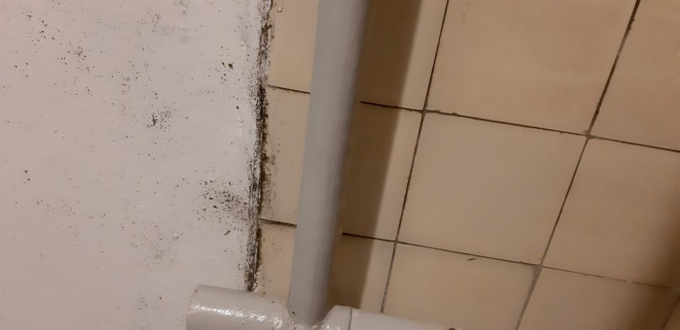 V chladiacom boxe mliečnych výrobkov výskyt plesne.