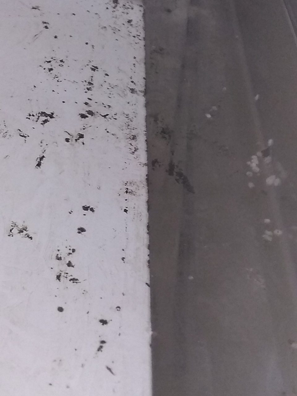V chladiacej vitríne s uloženými mliečnymi výrobkami znečistené úložné plochy s výskytom plesne.