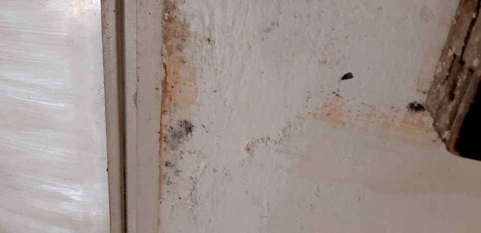 V suchom sklade poškodenie a znečistenie s výskytom plesne na stene v okolí okna.