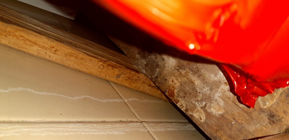 V chladiacom boxe znečistený regál s výskytom plesne.