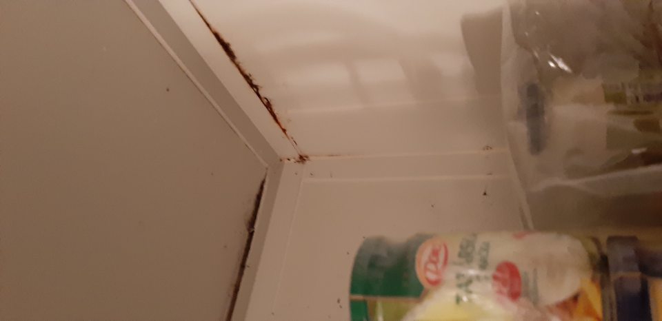 V chladiacom boxe v sklade pred vstupom do mraziaceho boxu v hornej časti výskyt korózie.