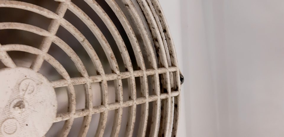 V chladiacej vitríne s označením Coca Cola znečistený ventilátor chladiaceho zariadenia s výskytom plesne.