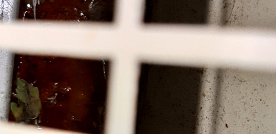 V chladiacej vitríne s uloženým ovocím a zeleninou znečistený priestor pod mriežkou.