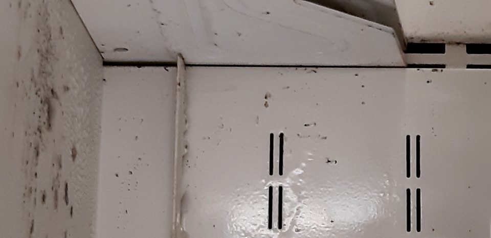 V chladiacich vitrínach s mliečnymi výrobkami znečistené úložné plochy, zadné steny, stropy so značným výskytom plesne.