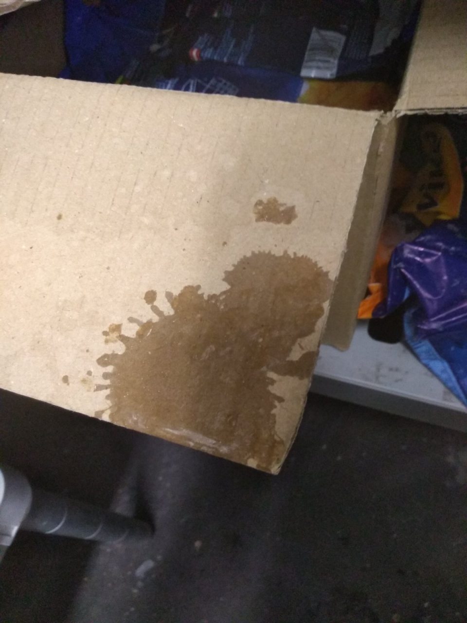 V mraziacom boxe v skladových priestoroch stekajúci kondenzát z mraziacej jednotky na otvorené kartóny s mrazenými potravinami.