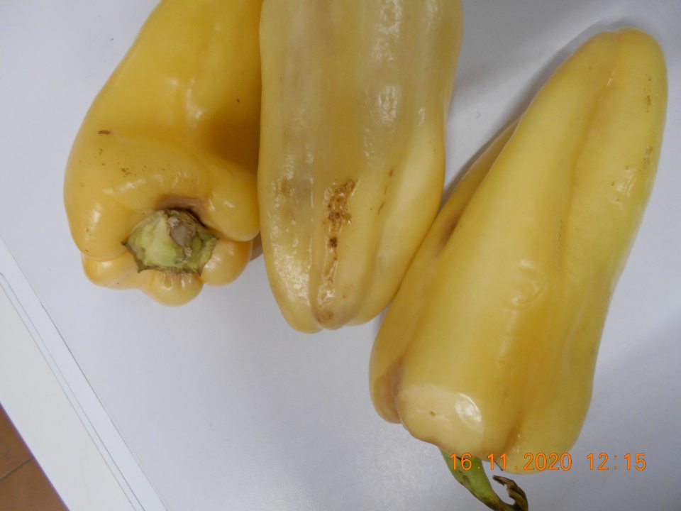 Uvádzanie do obehu šiestich druhov čerstvého ovocia a zeleniny, nevhodného na ľudskú spotrebu, z dôvodu výskytu hniloby a, plesne, zmenenej konzistencie a farby plodov.