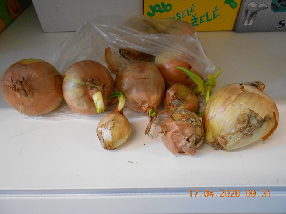 Predaj 3 druhov čerstvej zeleniny nevhodnej na ľudskú spotrebu