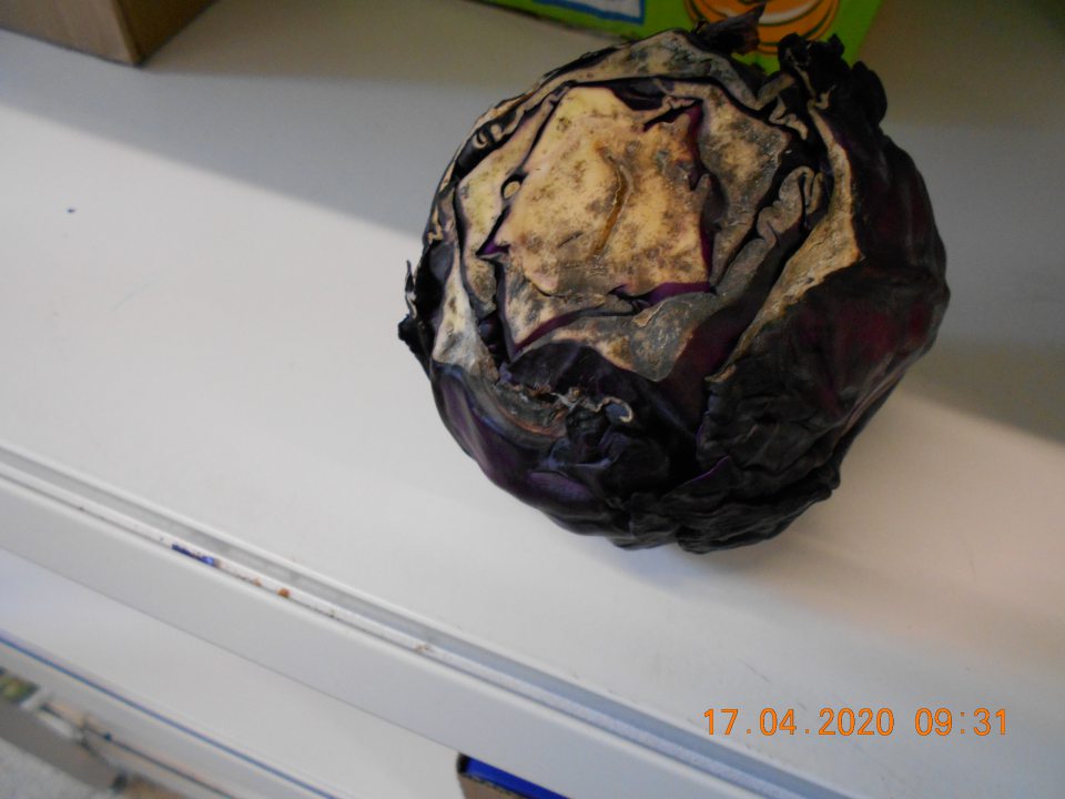 Predaj 3 druhov čerstvej zeleniny nevhodnej na ľudskú spotrebu.