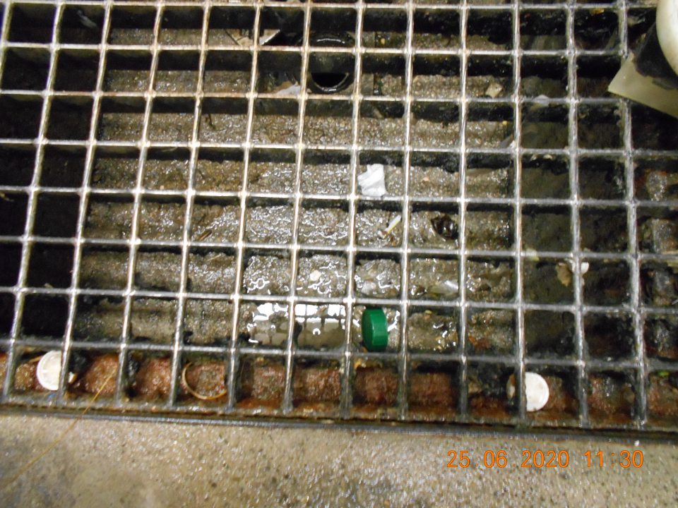 Silne znečistená mriežka a odtokový kanál v miestnosti na upratovanie .