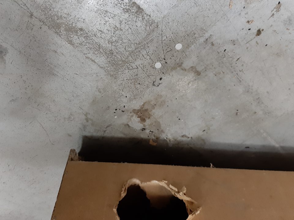 Výskyt trusu vo viacerých častiach prevádzkárne (sklad, regály na predajnej ploche, kancelária, strojovňa).