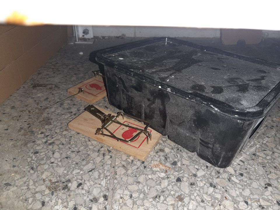 Zaprášené staničky s pascami na hlodavcov.