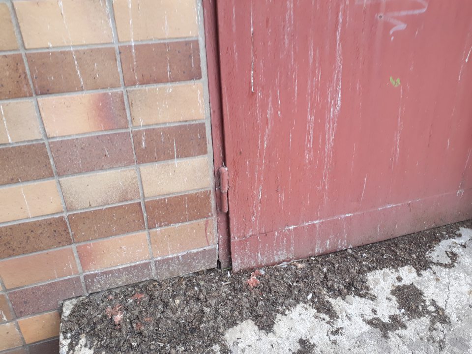 Pretrvávajúce nedostatky v prevádzkovej hygiene, v blízkosti príjmovej rampy nahromadený trus holubov v hrubých nánosoch.