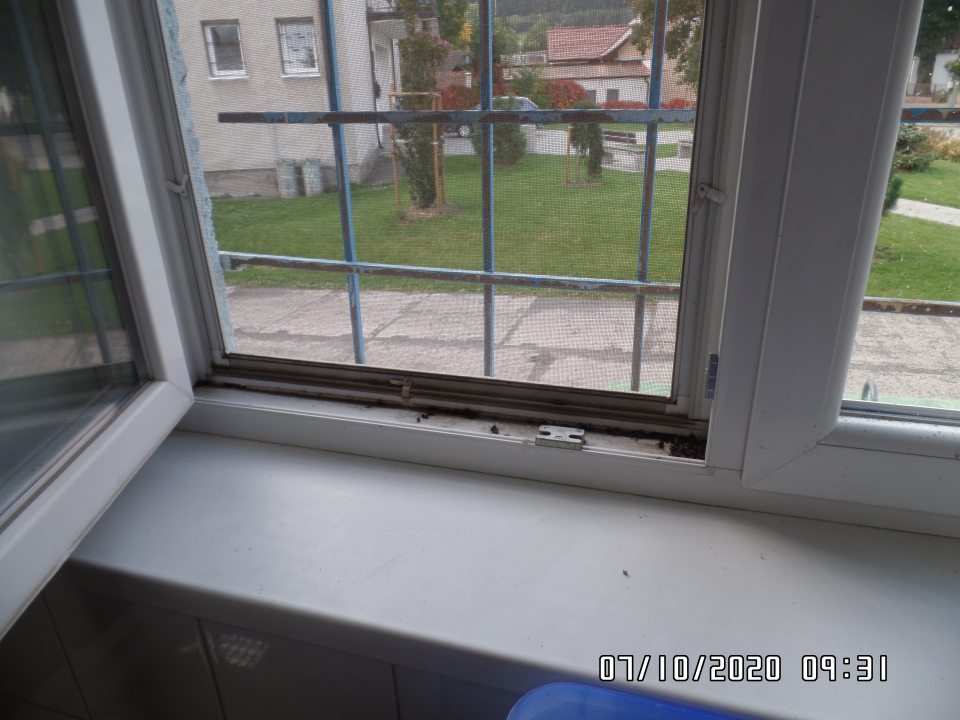 Výskyt uhynutých múch po otvorení okna na ráme okna ako aj na parapete, znečistené okná. 