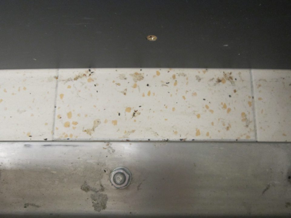 Detail podlahy s výskytom trusu hlodavcov.