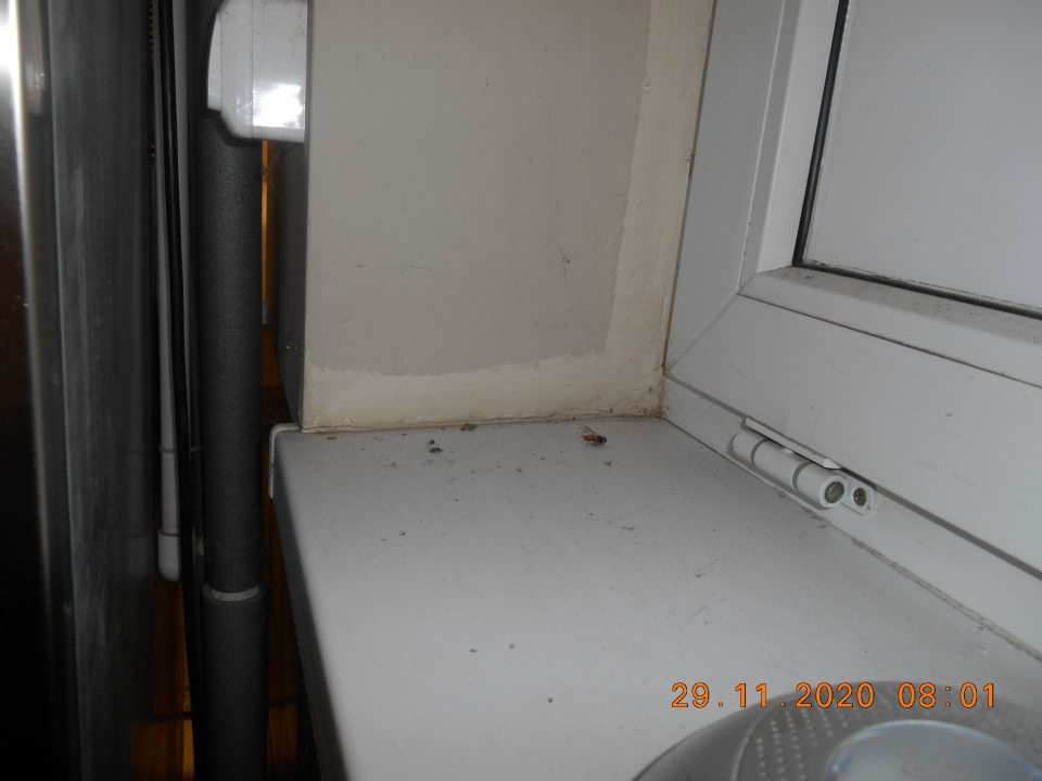 Znečistená okenná parapeta od prachu, špiny a uhynutého hmyzu v priestore dopeku pekárskych výrobkov.