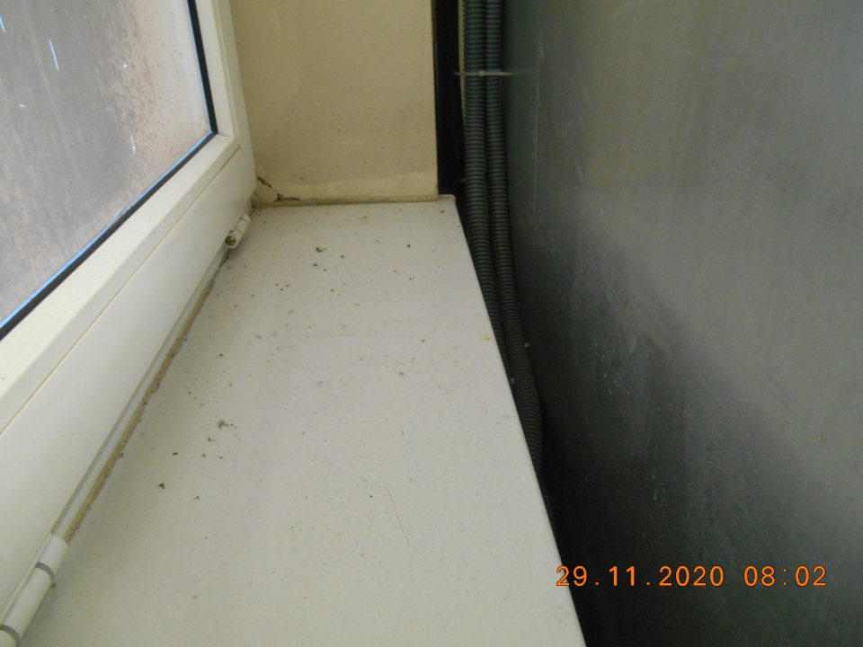 Znečistená okenná parapeta od prachu, špiny a uhynutého hmyzu v priestore dopeku pekárskych výrobkov.