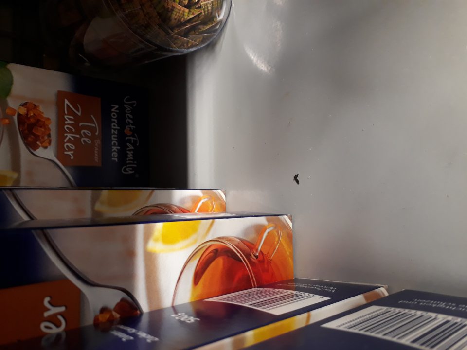 exkrementy hlodavcov prítomné na regáloch so suchým tovarom