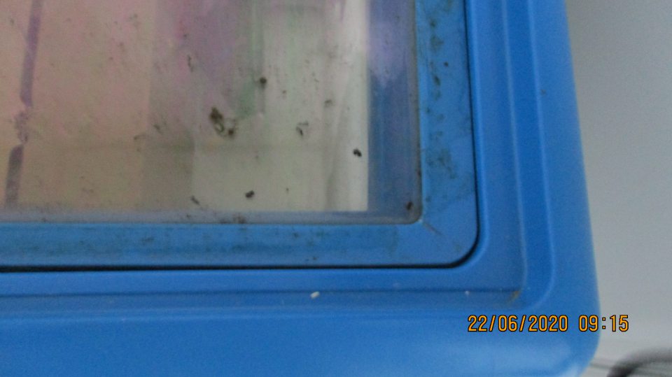 Znečistený mraziaci box v zázemí predajne.