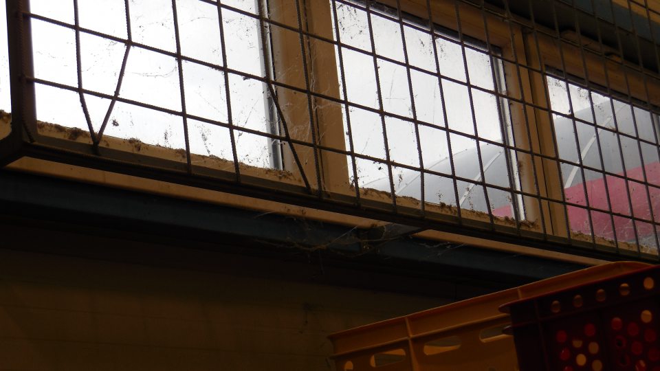 V priestore príjmu tovaru výskyt pavučín a prachu.
