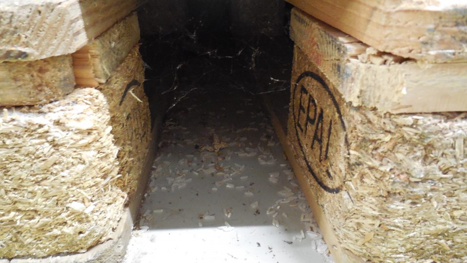 Podlahy pod paletami znečistené prachom a zvyškami po predávaných potravinách.