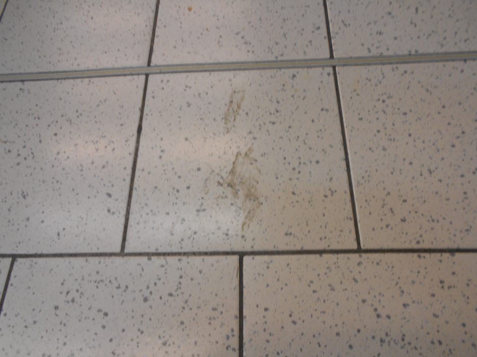 Mierne znečistená podlaha pri zelenine.