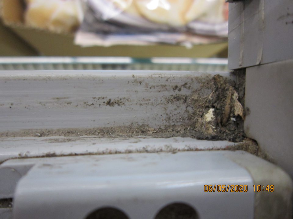 Napadané nečistoty v mraziacom boxe na zeleninu a ovocie