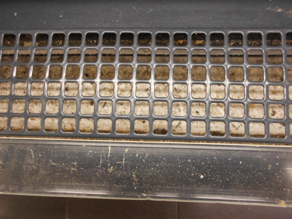 znečistená chladiaca vitrína na zákusky pod mriežkou chladenia