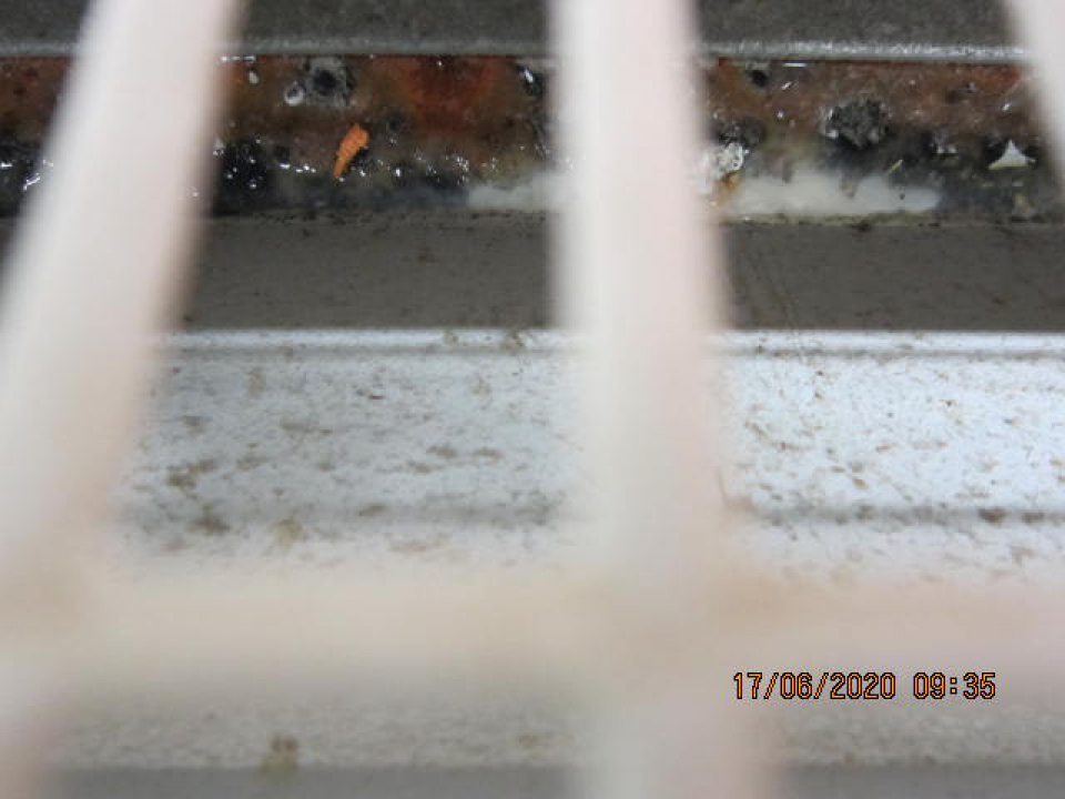 Priestory pod mriežkami v chladiacich zariadeniach znečistené napadanými nečistotami rôzneho charakteru. Lokálne sú uvedené priestory zatečené, s výskytom plesne.